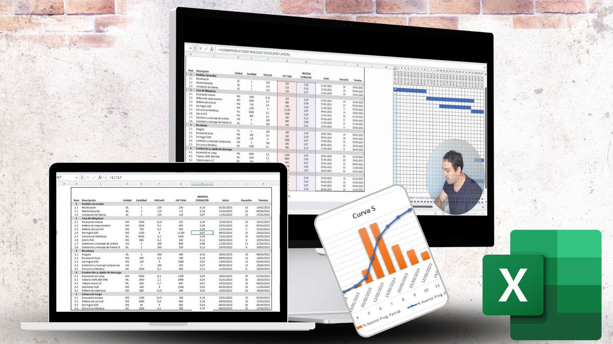 Carta Gantt y Curva S en Excel